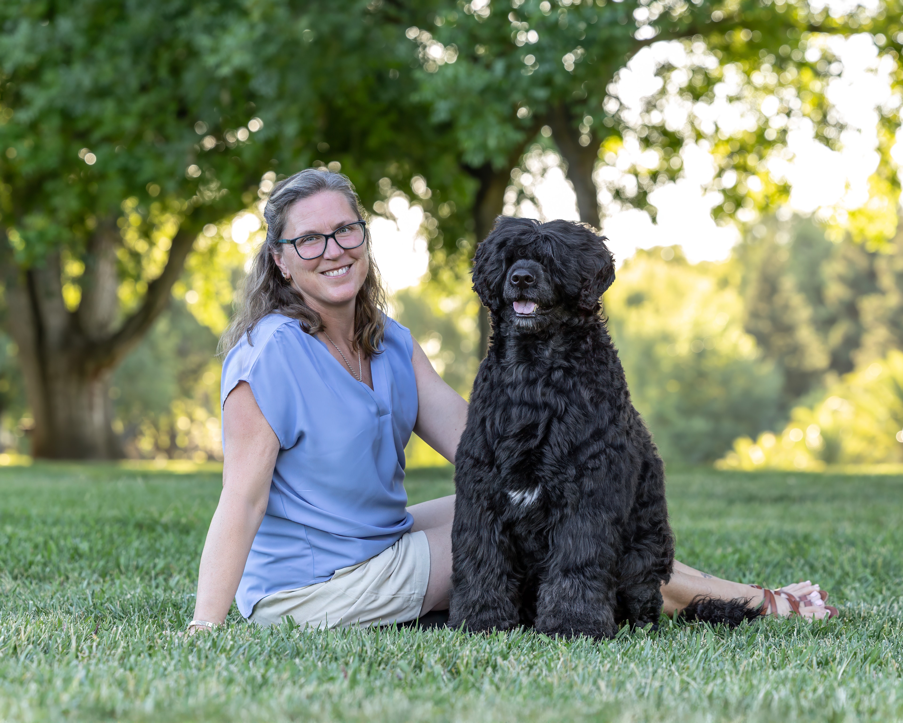Portuguese Water Dog portrait